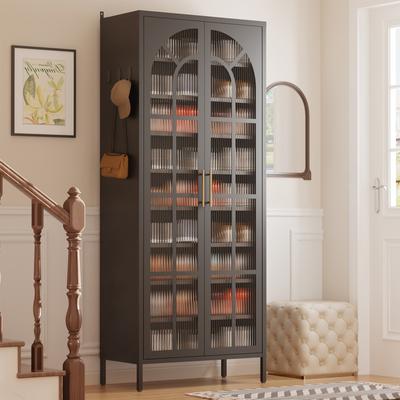 Lucky Monet Steel Shoe Cabinet with Acrylic Doors, Adjustable Shelves
