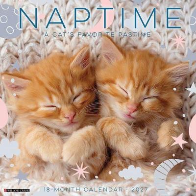 Naptime: A Cat's Favorite Pastime 2027 12 X 12 Wall Calendar