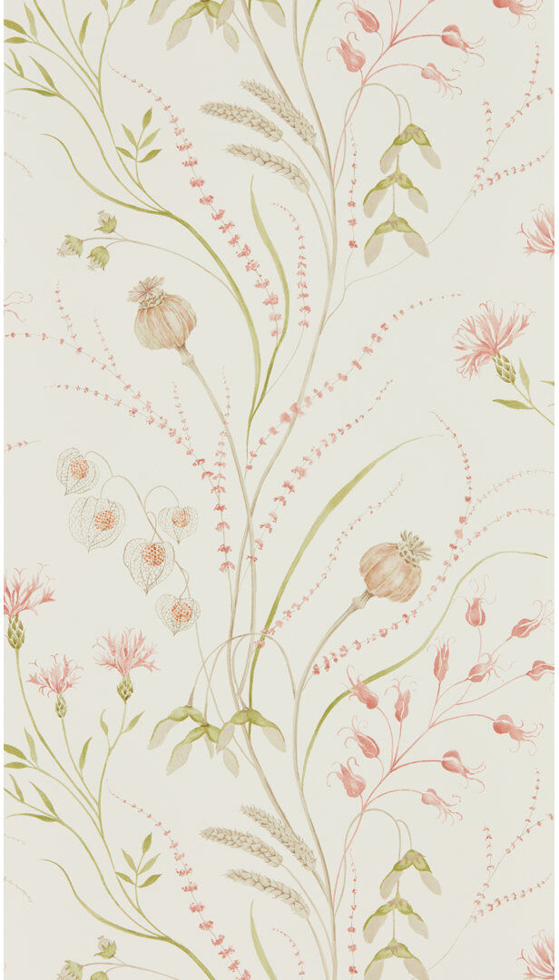 Sanderson Summer Harvest 10.05m x 52cm Matte Wallpaper Roll Green