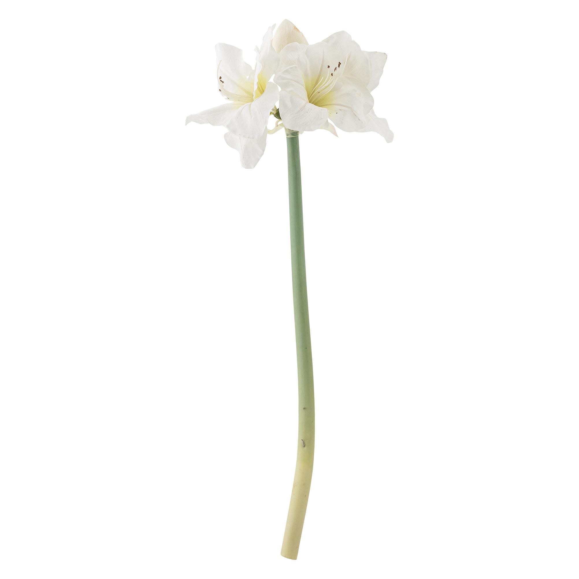 Bloomingville Amaryllis (74 cm) (5711173358434)