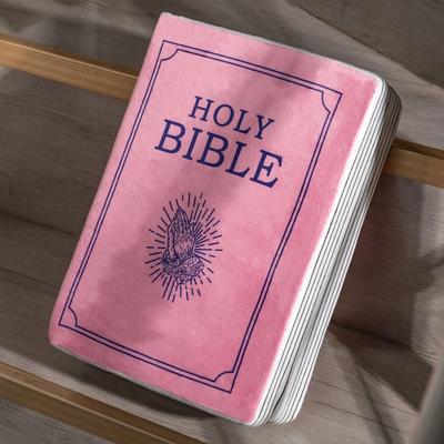 Uplifted Finds Bible Memory Foam Pillow John 3 Verse Soft Pink Throw Cushion blue Psalm 23 1