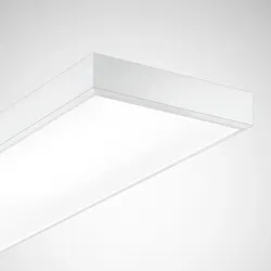 Trilux LED-Sporthallenleuchte Actison Fit #7238051