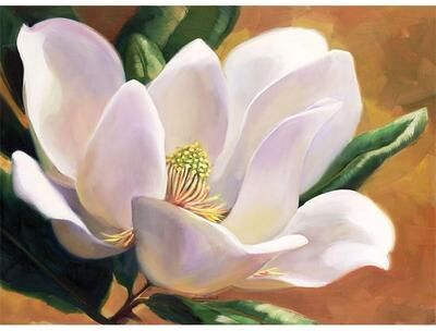 CounterArt 4 Cala Home Premium Hardboard Placemats Table Mats, Magnolia Blossom