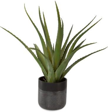 "Uttermost Tucson Aloe Planter - 17""W x 19""H x 17""D"