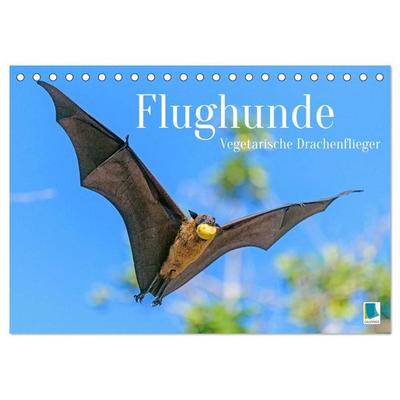 Flughunde: Vegetarische Drachenflieger (Tischkalender 2027 DIN A5 quer), CALVENDO Monatskalender