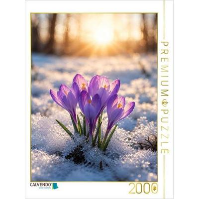 CALVENDO Puzzle Krokusse im winterlichen Sonnenlicht | 2000 Teile Lege-Größe 90x67cm Foto-Puzzle für glückliche Stunden
