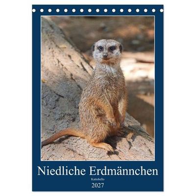 Niedliche Erdmännchen (Tischkalender 2027 DIN A5 hoch), CALVENDO Monatskalender