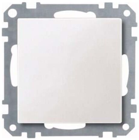 Merten Plaque aveugle pws 391819 (391819)