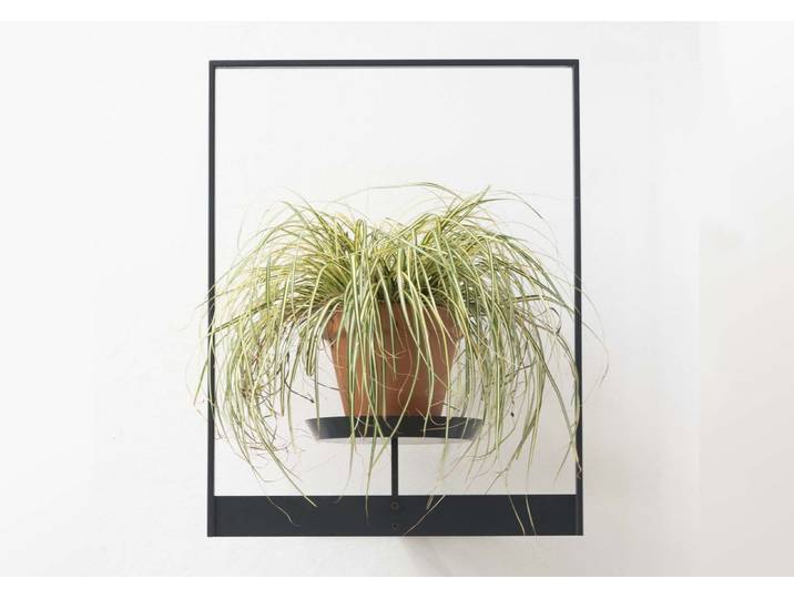 Étagère murale pour plantes - teebooks