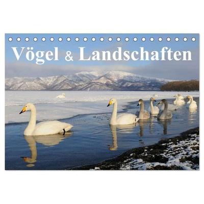 Vögel & Landschaften (Tischkalender 2027 DIN A5 quer), CALVENDO Monatskalender