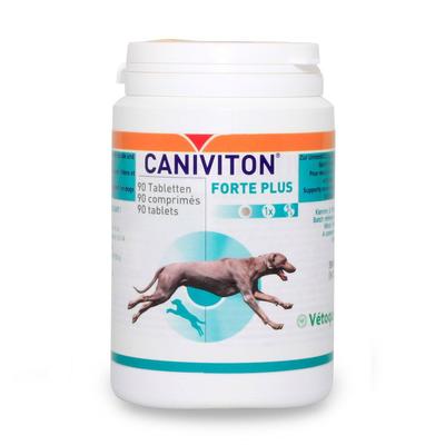 Caniviton Forte Plus Erg.Futterm.Tbl.f.Hund/Katze 90 St Tabletten