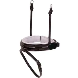 Reithalfter BR Schwedisch komb. mit Lack black/white/silver WB