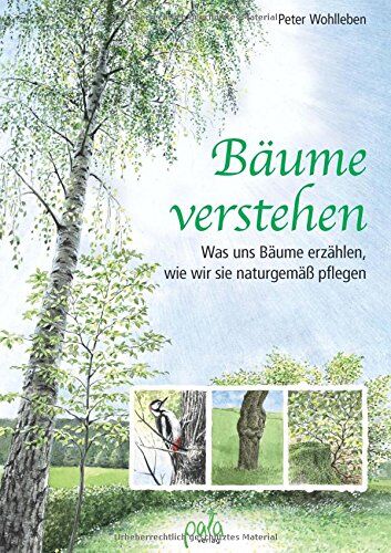 Peter Wohlleben - Bäume verstehen: Was uns Bäume erzählen, wie wir sie naturgemäß pflegen - Preis vom 04.10.2026 03:51:26 h