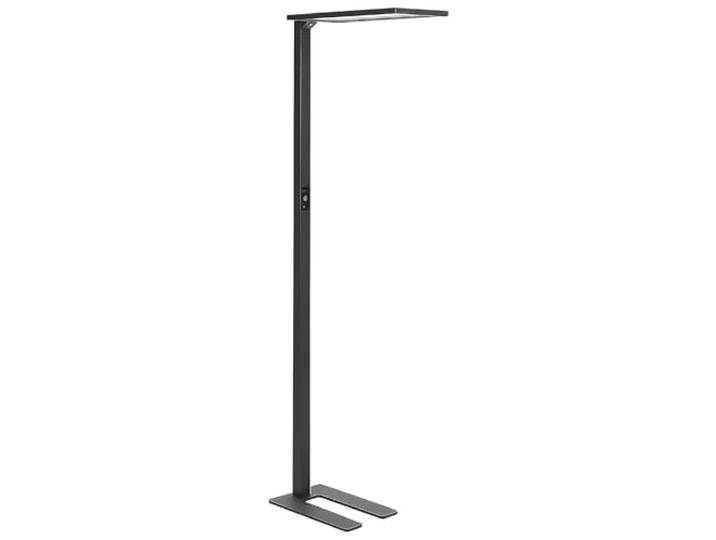 Beliani LED-Stehlampe Metall schwarz mit Bewegungsmelder Touch-Funktion dimmbar Orion