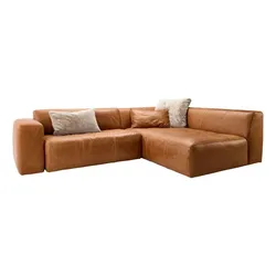 Bullfrog Ecksofa 1001 Camp Leder Gold Kupfer