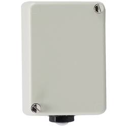 Jumo 60000959 2-Punkt-Regler Temperaturwächter 115 °C (max.) Relais 10 A