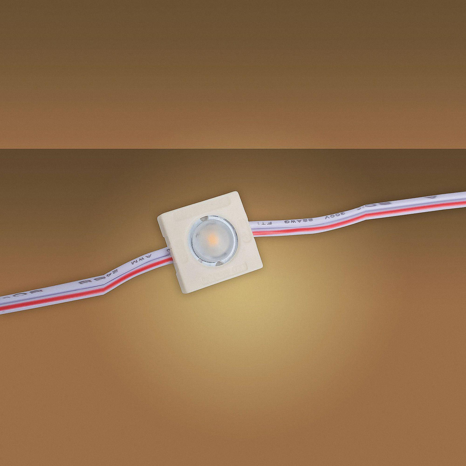 Mextronic 20x LED-voedingmodule HL01, 0,36W, 3000K, 12V, IP65