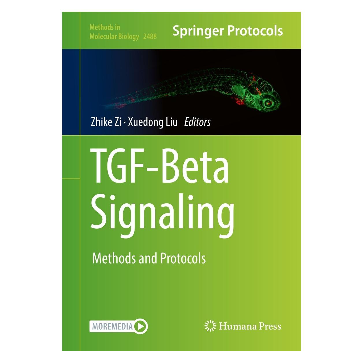 Springer TGF-Beta Signaling (Englisch, Hardcover, Xuedong Liu, Zhike Zi) (9781071622766)