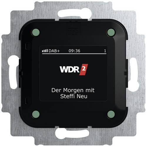 Busch-Jaeger Einsatz Radio 2CKA008200A0275 1 St.