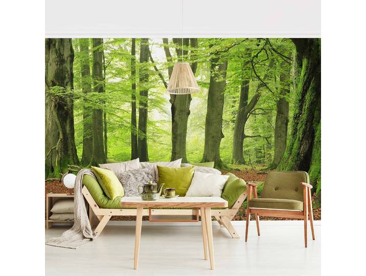 Vliestapete Mighty Beech Trees 384 x 255cm 384 x 255 cm