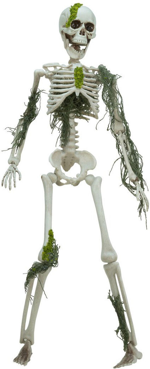 Europalms Halloween Skelett Mit Moos, 40cm