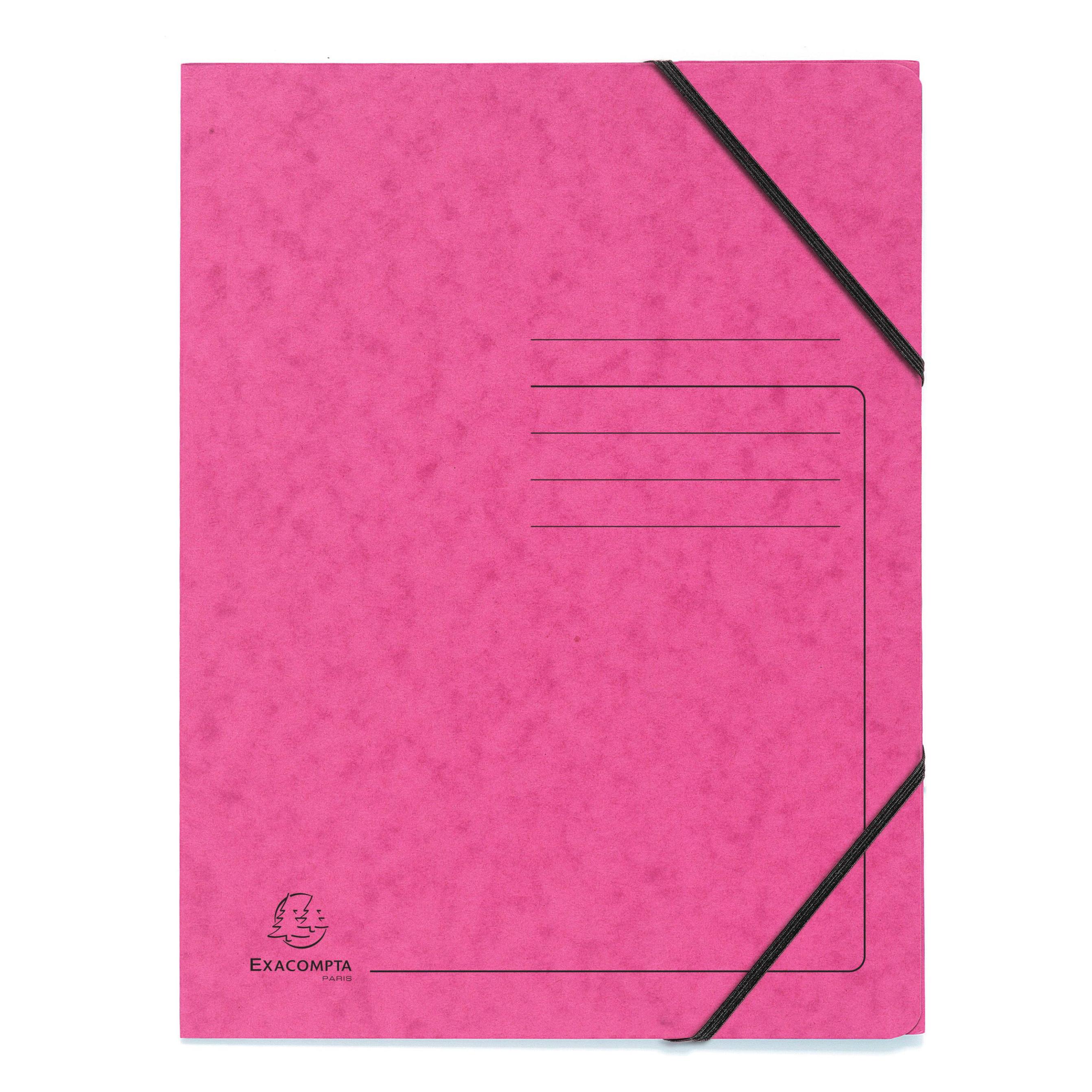 Exacompta Sammelmappe mit Gummizug (A4) (555420E)