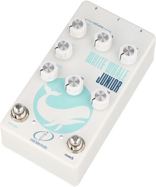 Crazy Tube Circuits White Whale JR