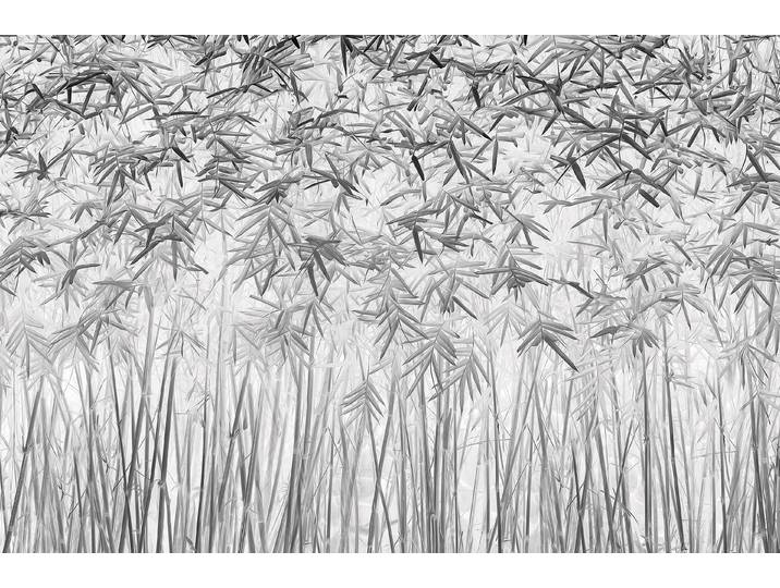 Fototapete PAPERMOON Photo-Art JEFFLIN LING, PARALLELITÄT , bunt, B:2m L:1,49m, Vlies, Tapeten, Fototapete