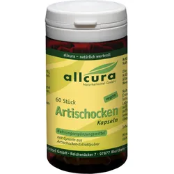 Artischocken Kapseln 60 ST