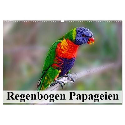 Regenbogen Papageien (Wandkalender 2026 DIN A2 quer), CALVENDO Monatskalender