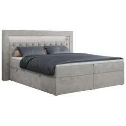 BOXBETT GOLD-6 LED 200/200 Hellgrau Struktur - H4