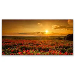 LEINWANDBILD 140x70 cm Mohnfeld
