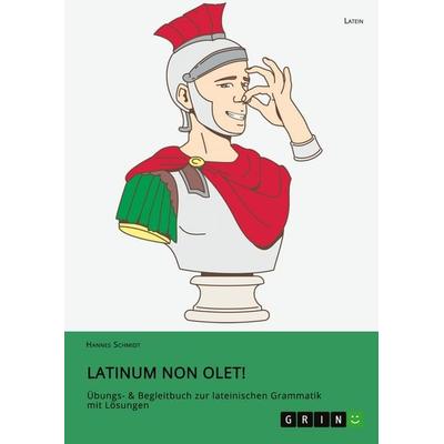 Latinum non olet!, Taschenbuch von Hannes Schmidt, GRIN, 978-3-346-40955-3