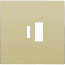 Niko Züblin 221-68002 Abdeckung für intelligentes Zweifach USB A und USB C Ladegerät, gold c 22168002