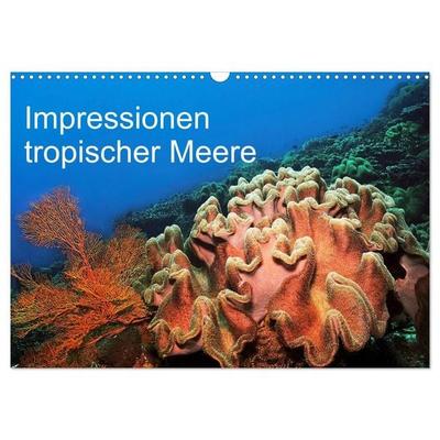 Impressionen tropischer Meere (Wandkalender 2027 DIN A3 quer), CALVENDO Monatskalender