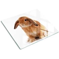 GLASPLATTE 60x52 cm Rotes Kaninchen