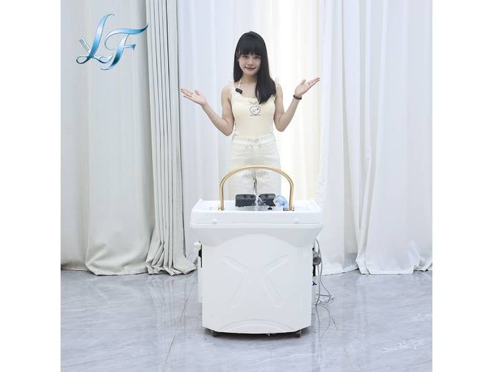 Bac à shampoing portable et mobile pour spa capillaire, machine multifonctionnelle d'hydrothérapie et de fumigation, système de circulation d'eau, design ergonomique