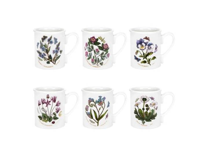 Portmeirion Botanic Garden Frühstückstasse, 266 ml, 6 Stück