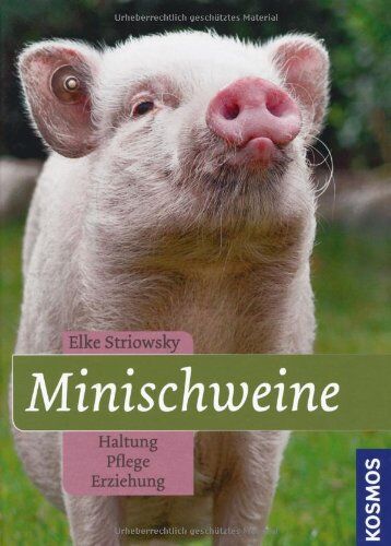 Elke Striowsky - Minischweine: Haltung, Pflege, Erziehung - Preis vom 09.10.2026 07:28:09 h