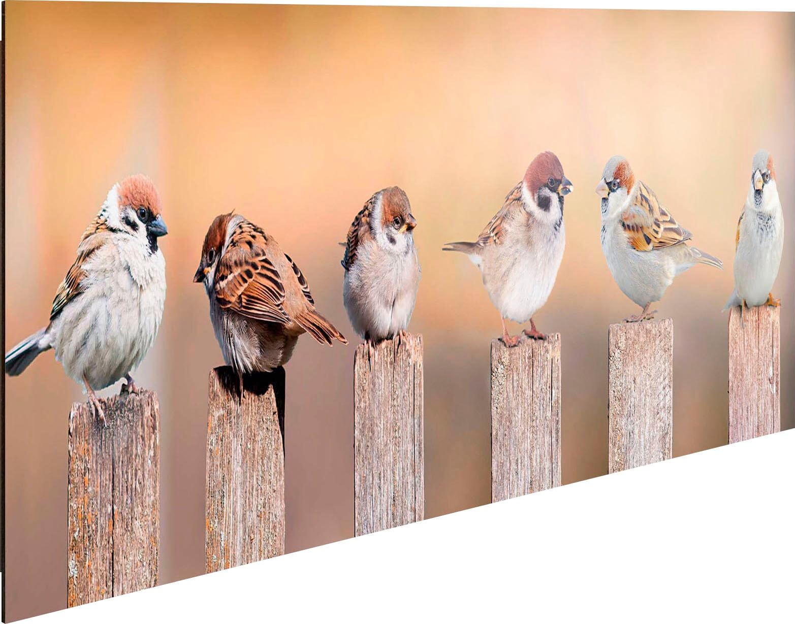 Reinders! Holzbild REINDERS "Deco Panel 30x90 Bird Family", braun (farbe bild(er): braun), B:90cm H:30cm T:2cm, MDF, Bilder, Holzbild farbe bild(er): braun B/H/T: 90cm x 30cm x 2cm, Querformat
