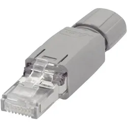 Wago RJ45 Steckverbinder IP20 5e, Elektronikkabel + Stecker, Grau
