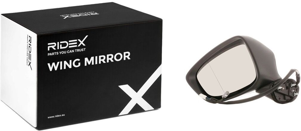RIDEX 50O0743 Wing mirror