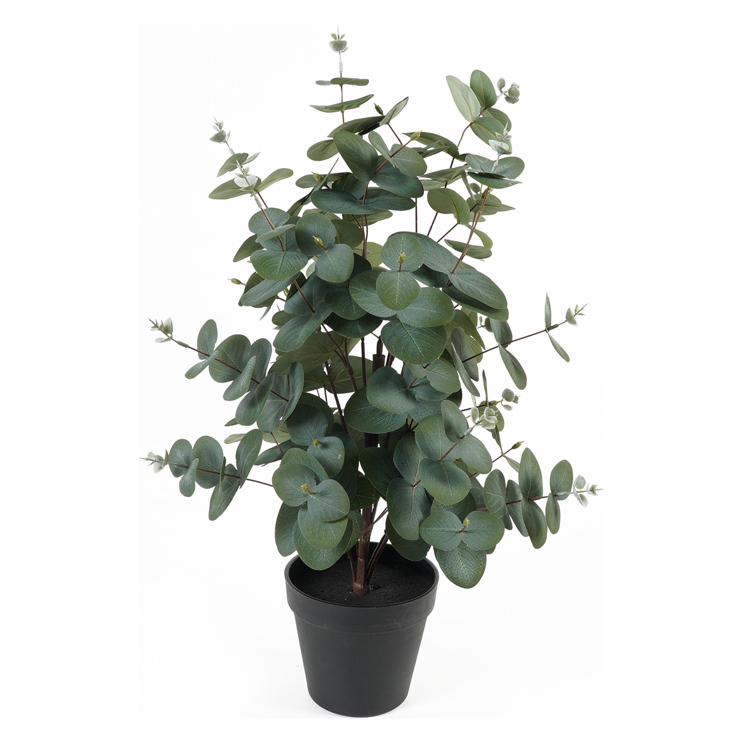 Atmosphera Eucalyptus Leaf (54 cm) (PT4122)