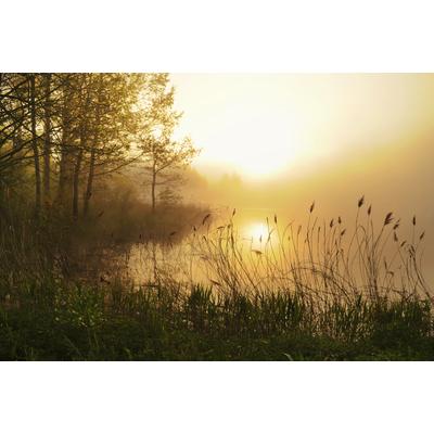 Papermoon "Stunning Foggy Landscape" glatt
