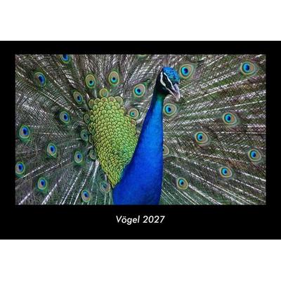 Vögel 2027 Fotokalender DIN A3
