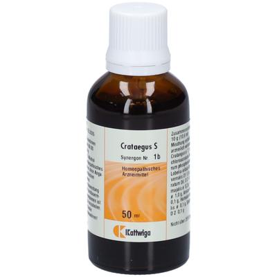 Synergon Komplex 1b Crataegus S Tropfen 50 ml