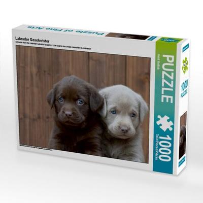 CALVENDO Puzzle Labrador Geschwister | 1000 Teile Lege-Größe 64x48cm Foto-Puzzle für glückliche Stunden