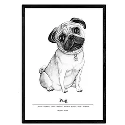 POSTER Pug A4 Rahmenlos