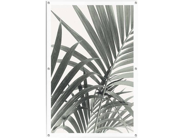 Poster REINDERS Palmenblätter , grün (farbe bild(er): grün), B:80cm H:120cm T:0,1cm, Leinwand, Bilder, Poster, leichtes und wasserfestes Gartenposter für den Ausseneinsatz
