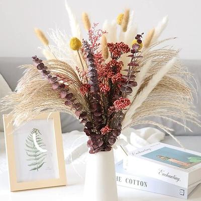 Pampasgras-Dekor-Set – natürliche Trockenblumen für DIY-Arrangements, ungiftig für Zuhause Hochzeitsdeko, Nutzung ohne Strom